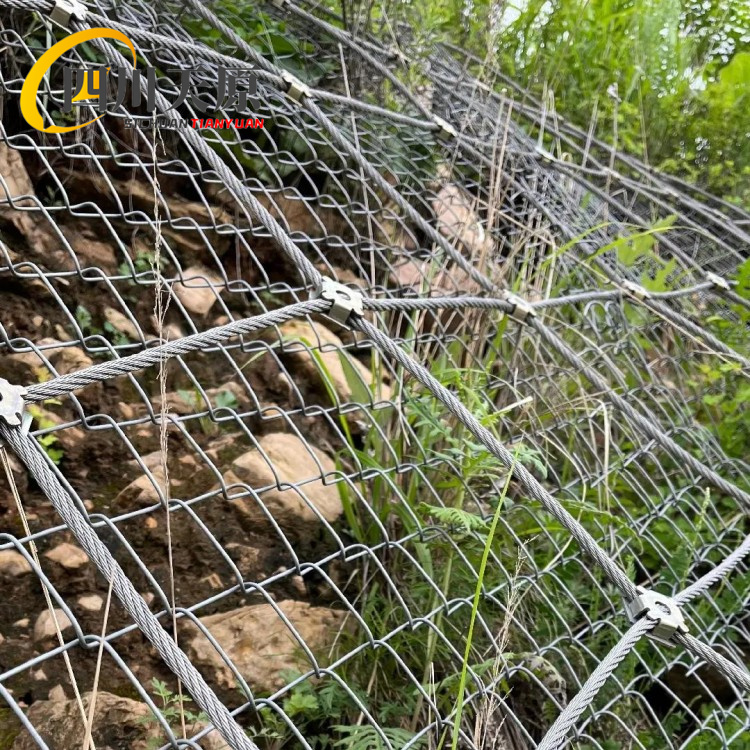 \߅·o(h)W(wng)P͸gF··ɽwӹa(chn)b