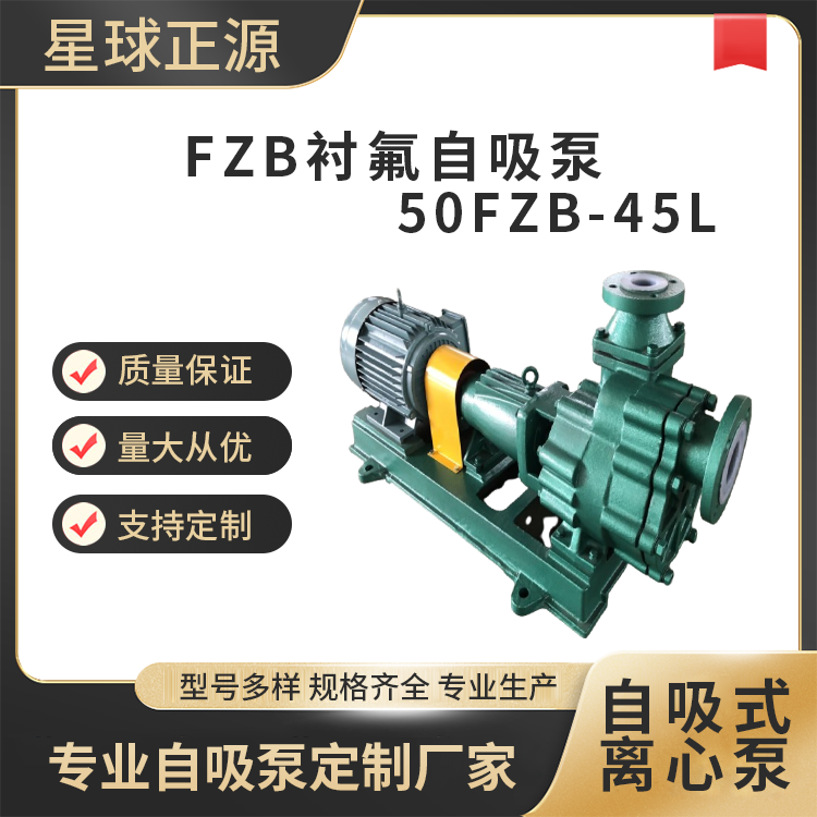 50FZB-45LʽxıÏSA}̖xԹ
