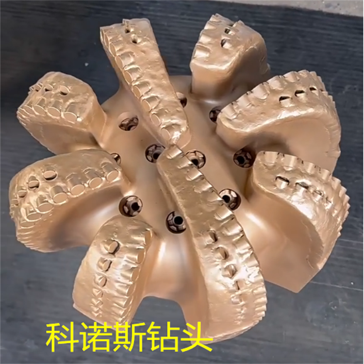 Z˹20ӢpXPDC@^ֶ֧Ʒ|(zh)C8