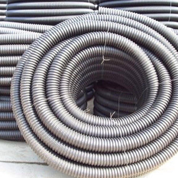 (yng)pe̼زy²·ĥԏ