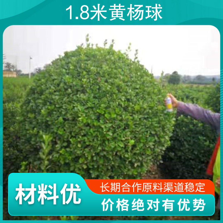 1.8SƷN@;o(h)¾G
