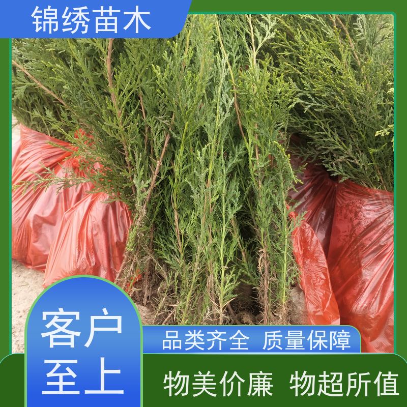 (c)o(h)ļGÂ(c)ؘؚϵl(f)_(d)ɻʸ