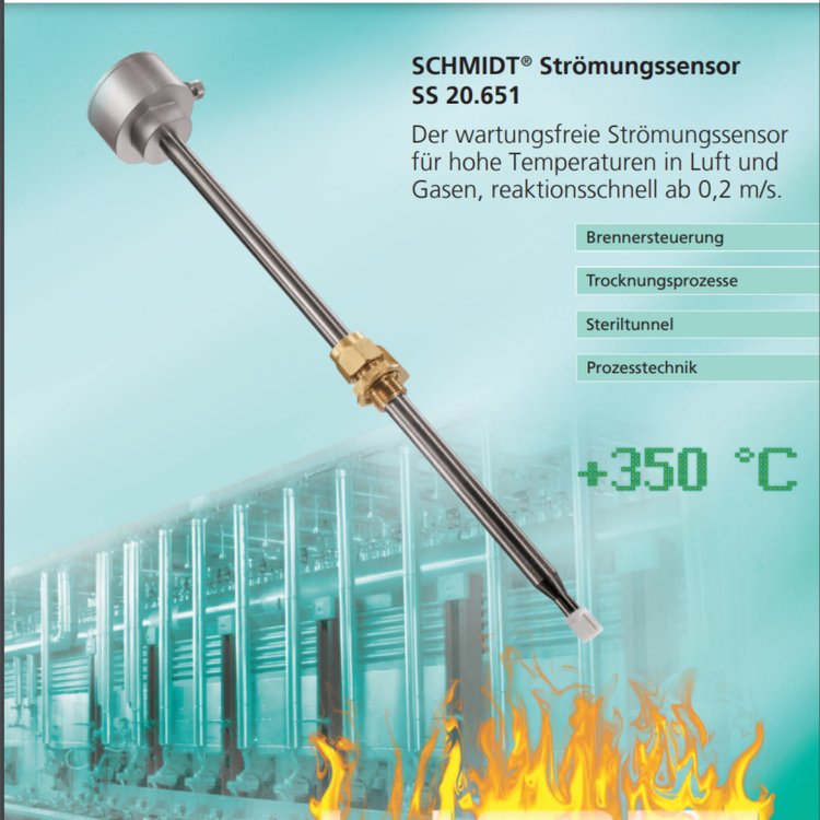 SCHMIDTSS20.651(gu)SCHMIDTߜSS20.651