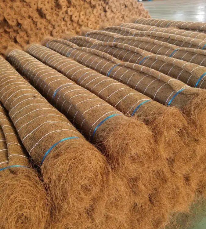 ܲҬz̺B(ti)ޏ(f)VɽGo(h)ֲ̺ӽ_̺