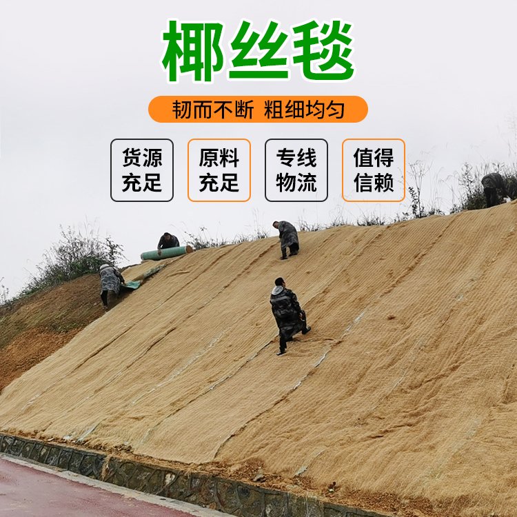 ܲϲҬz̺Gֲ̺ӽ_̺ӵo(h)