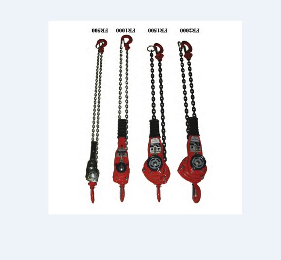 FR1000朗lʽְJHastings(Kg)454