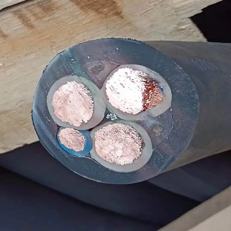 (yng)YCW316|YCW310~о|y