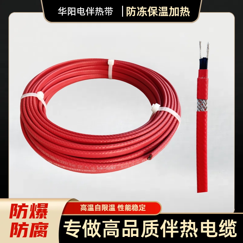 ߜޜ늰Ꭷ121ȷ͸Ꭷ220V60W{(dio)ذᾀ