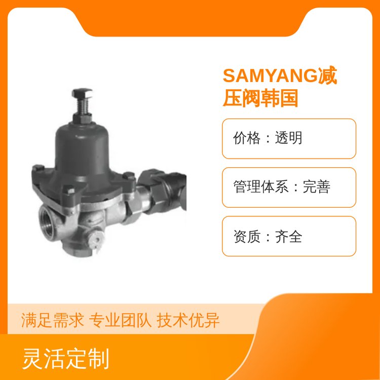 SAMYANGnpyPpyȌĤʽT䓷mpyT