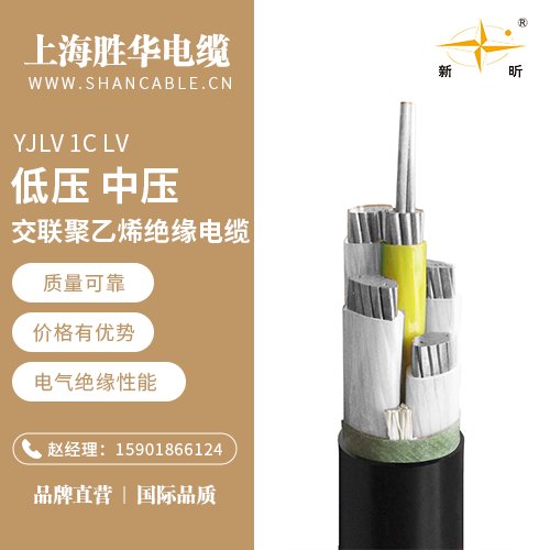 A|YJLV1CLV^|YTTW(bio)
