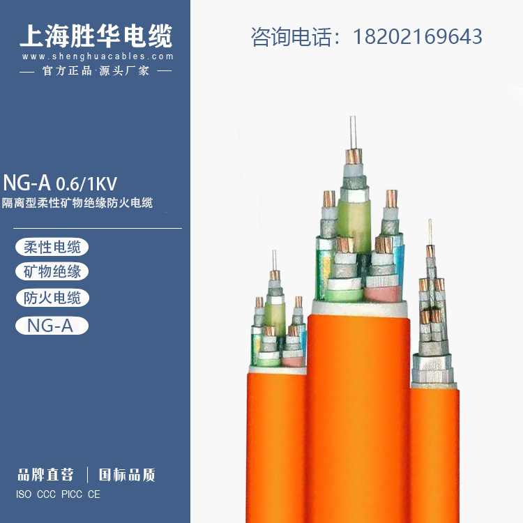 A-|ϵ-V^-̖NG-A(BTLY)