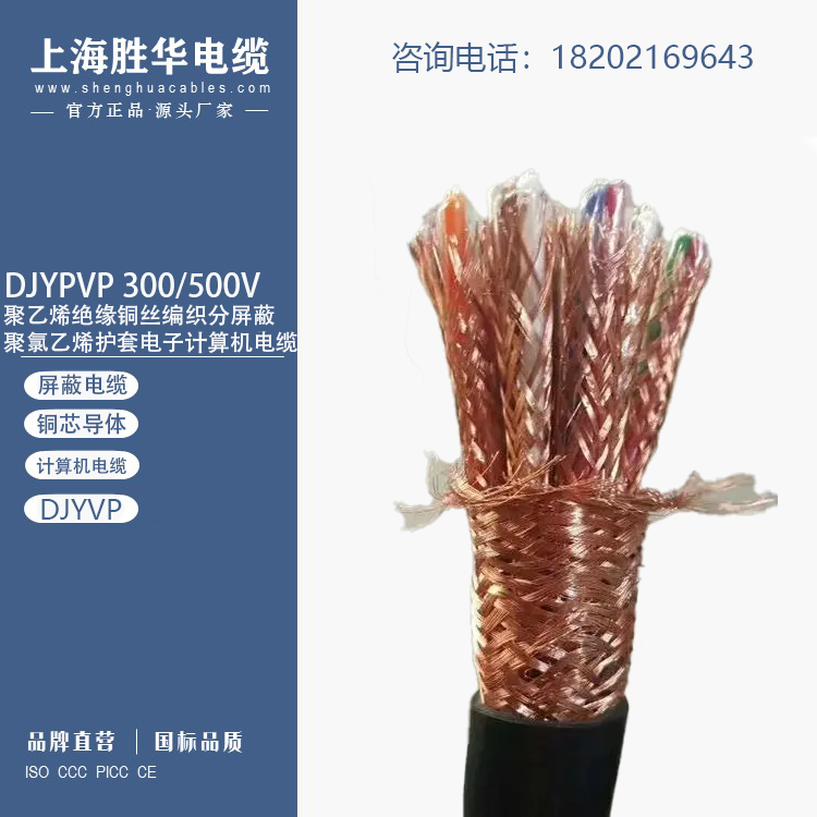 A늾Ӌ(j)C(j)|DJYPVPm~늉500V