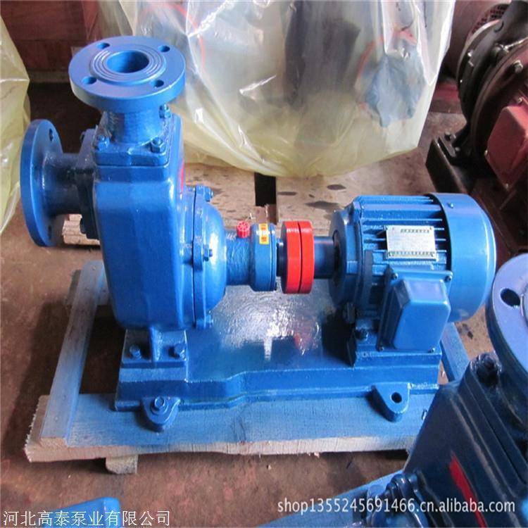 ZXϵʽxıֱN̩TF300ZW800.14