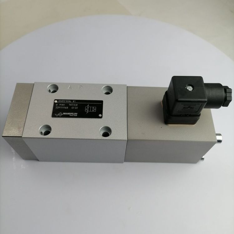 ʿWANDFLUHf(wn)AS22101a-G24늴œQyF(xin)؛