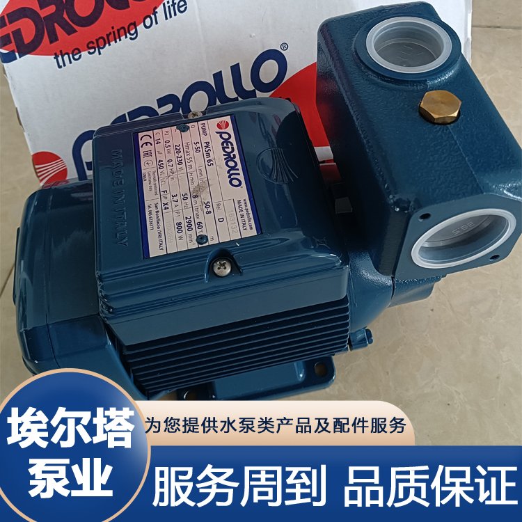 PEDROLLO_ˮPʽxı~~݆TF|(zh)