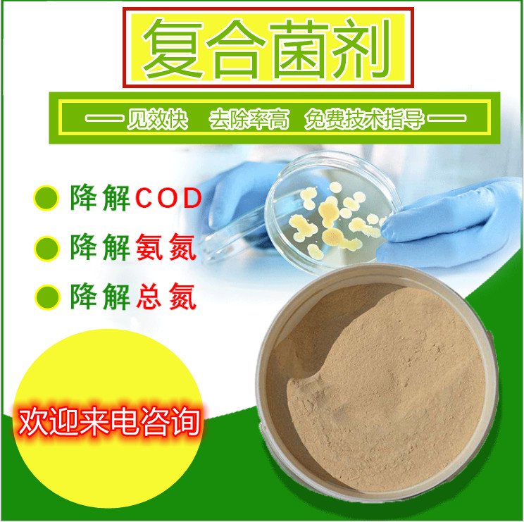 ɫЧ@һվʽ(yng)ʡʹ