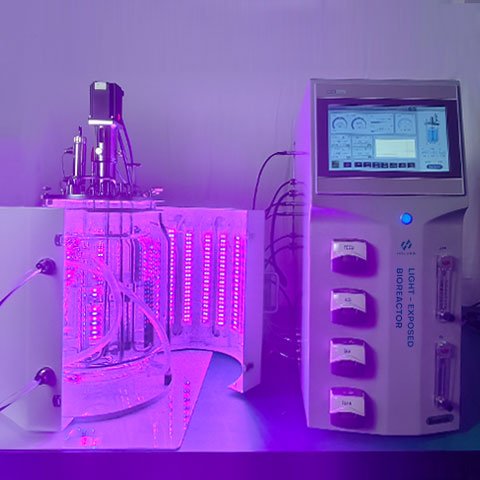 ˹HOLVESﷴ(yng)B(yng)l(f)O(sh)|(zh)^Ӳ