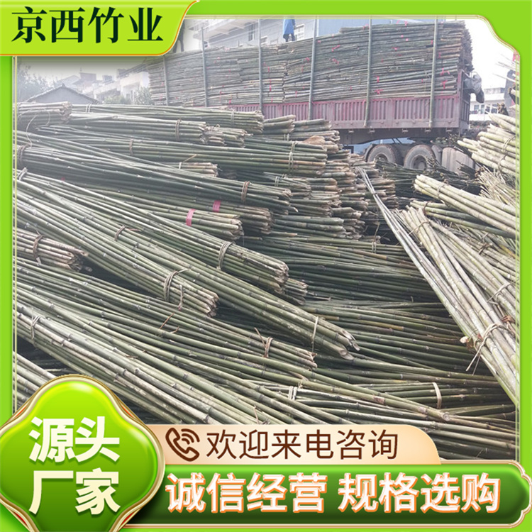 ë֧ι⻬oë̿ɶƾI(y)