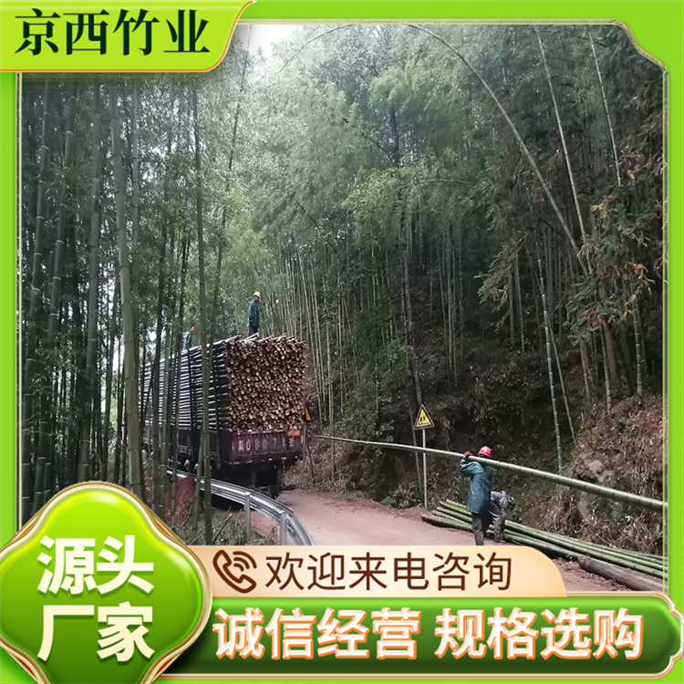 竹竿農(nóng)用支撐桿豆角黃瓜山藥西紅柿等支撐用產(chǎn)地直供