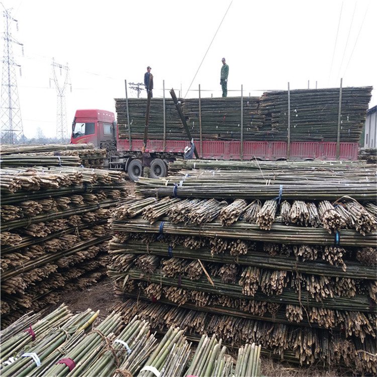 l(f)O@UNֲجF(xin)؛Դa(chn)ذl(f)؛I(y)