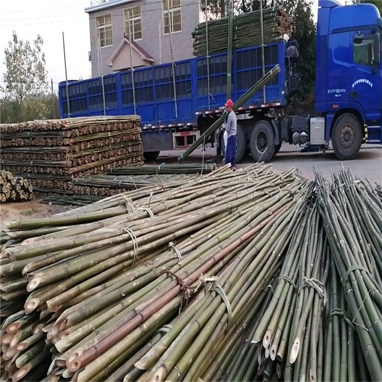 各類(lèi)枸杞竹竿批發(fā)廠家直接發(fā)貨防水防雨京西竹業(yè)