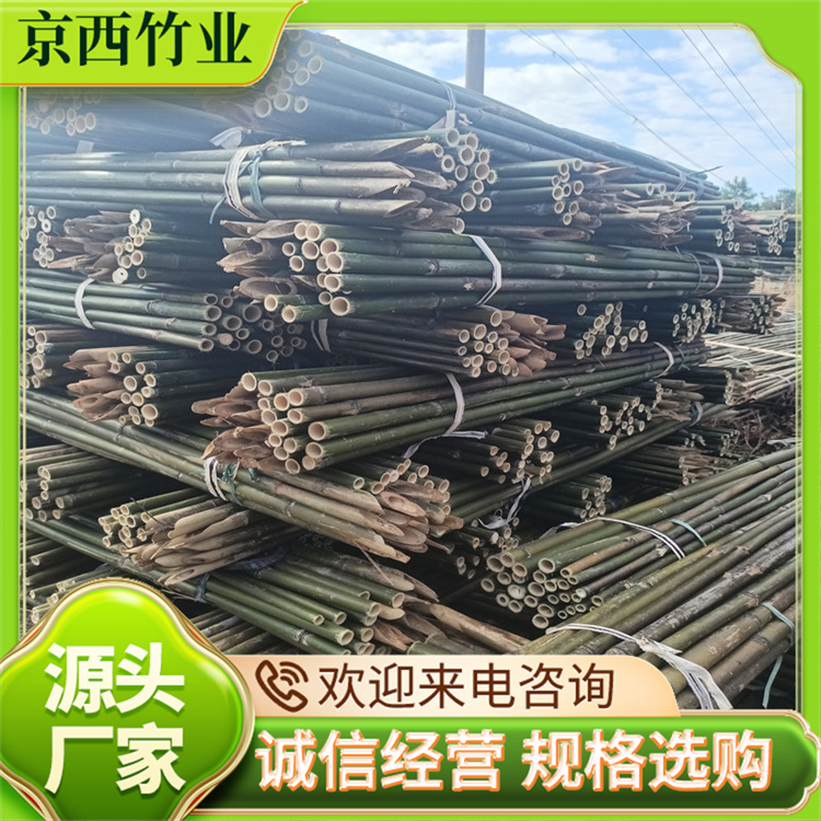果園支撐綠籬捆裝粗細(xì)竹竿防腐防蟲京西竹業(yè)