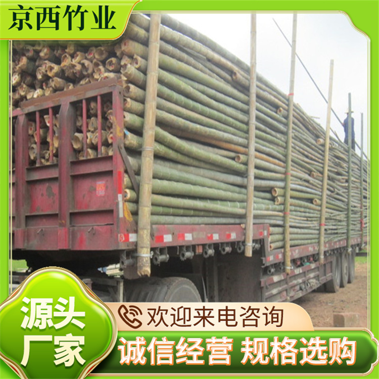 大毛竹基地直發(fā)工地用竹溫室大棚竹竿現(xiàn)貨速發(fā)京西竹業(yè)