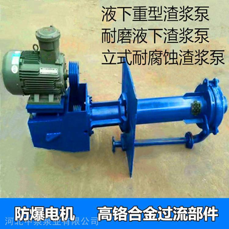 _QǰȪʽ{65YZ50-20Һˮȶ