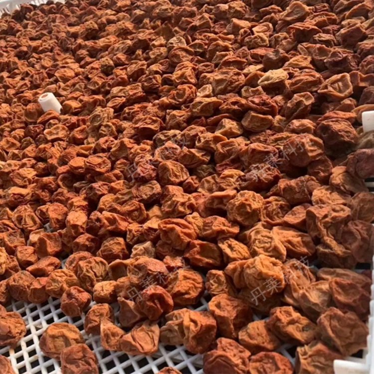 ՚Ԓ÷əC(j)S÷Ӻɷ͹TʽO(sh)늿