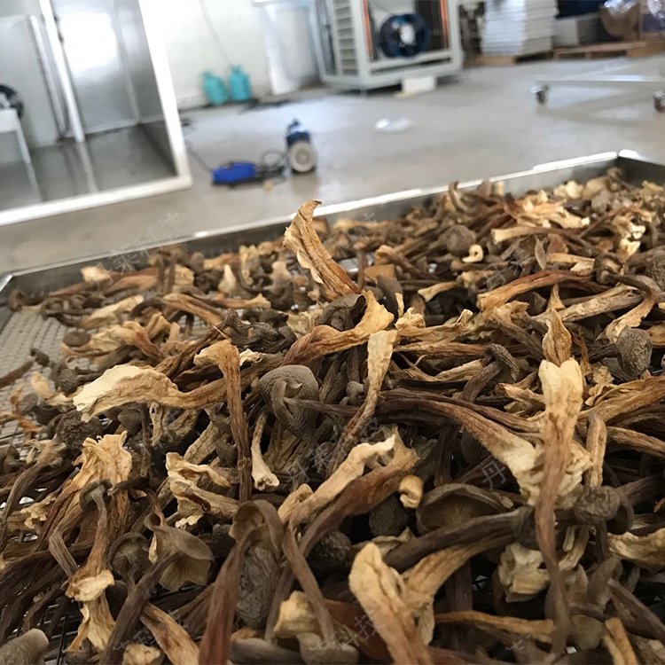 ՚¹׹əC(j)12Pʳþ늿ȫԄ(dng)O(sh)¿Դ