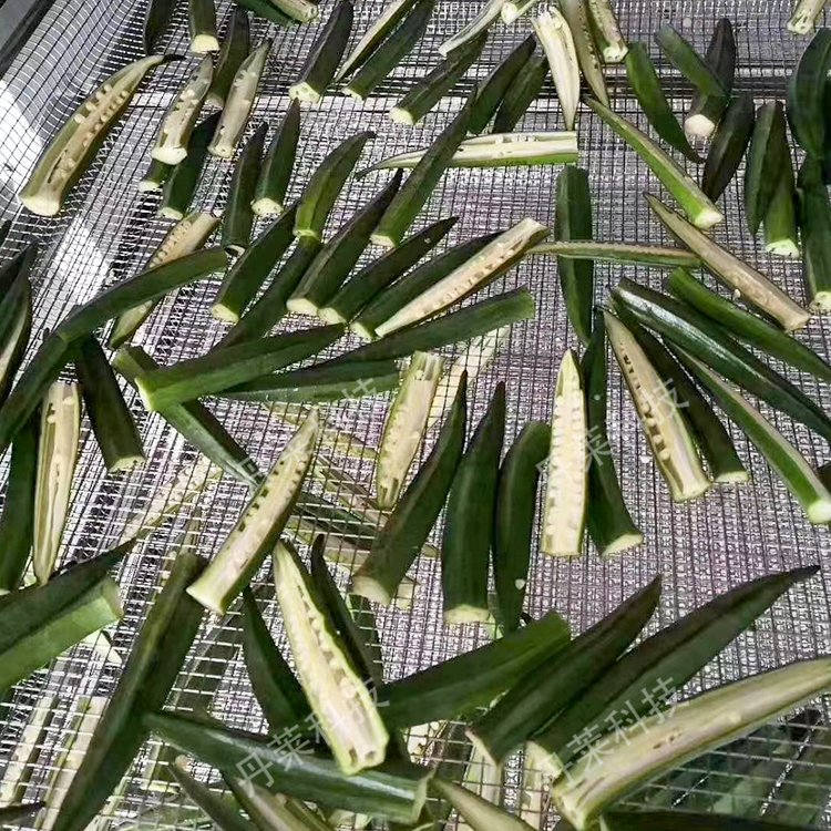 SəC(j)՚ܟC(j)ȫԄ(dng)ʽO(sh)늿