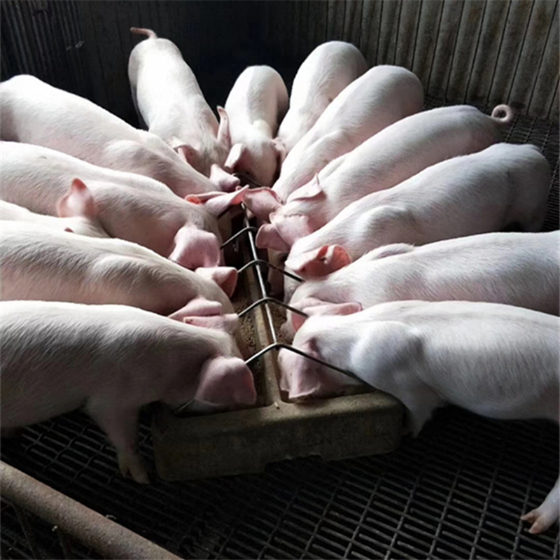 siƷNi15iāyB(yng)ʡĘ