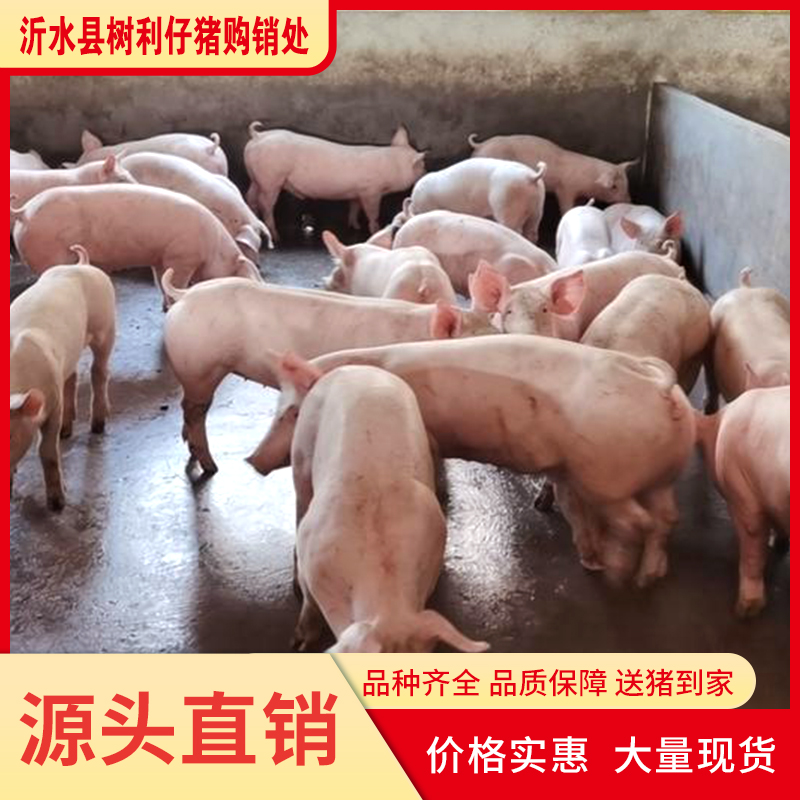 iЈַF(xin)СiЃrɫN۰l(f)۸