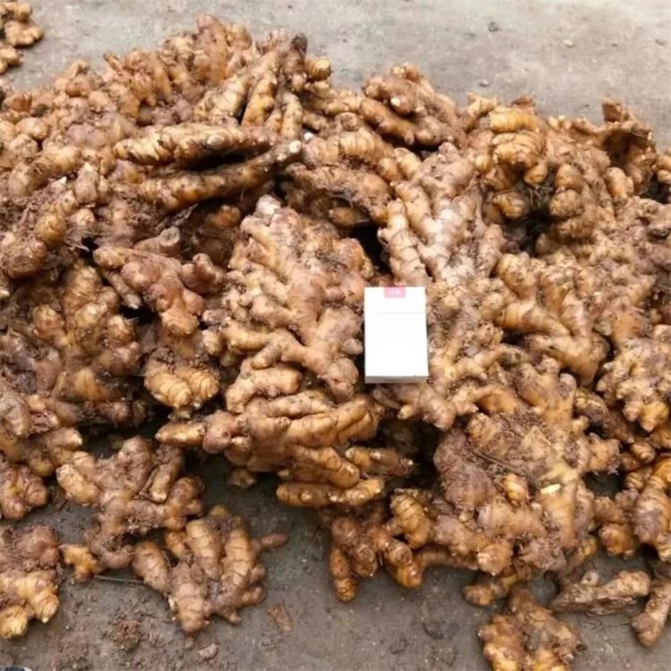 СSˮϴؿڸζ̳ֱ