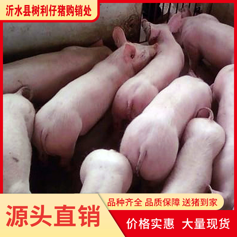 iُNСiЈַ׳ɻĻؼB(yng)