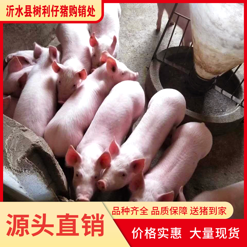 iiN203040iʡęz߇(yn)