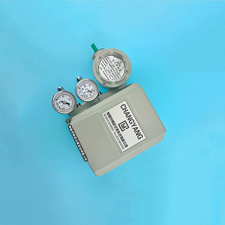 QZD2000늚DQ4~20mAIPDQ(yu)xꖃx