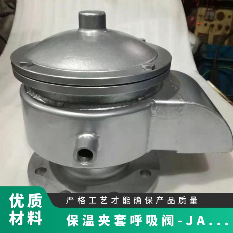 PT䓱؊A׺y̖JAV-IS͹