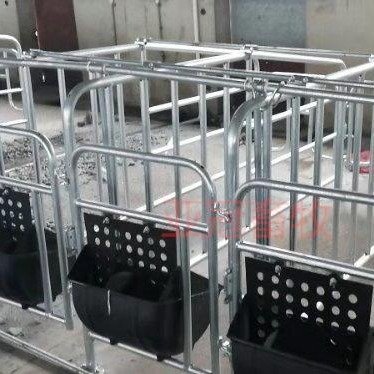 B(yng)iO(sh)YG-1iĸia(chn)ֶ֧