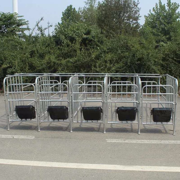 YG-0112020¿ӺĸiλĸiλڏS