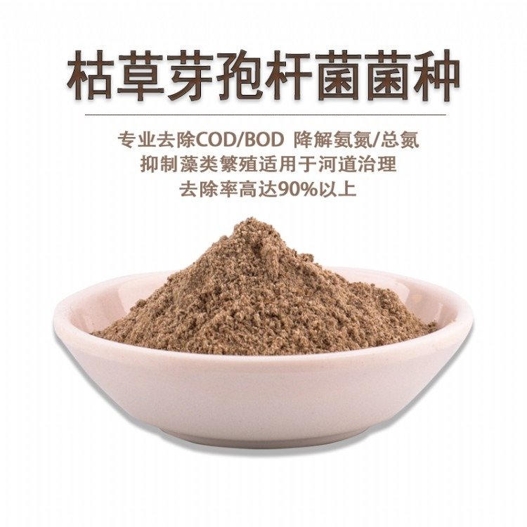 ʶȺӵݲѿߗUˮڳˮwЧ(wn)