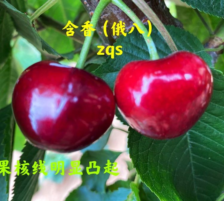 ľ,(yu)|(zh)߳ɻʵę