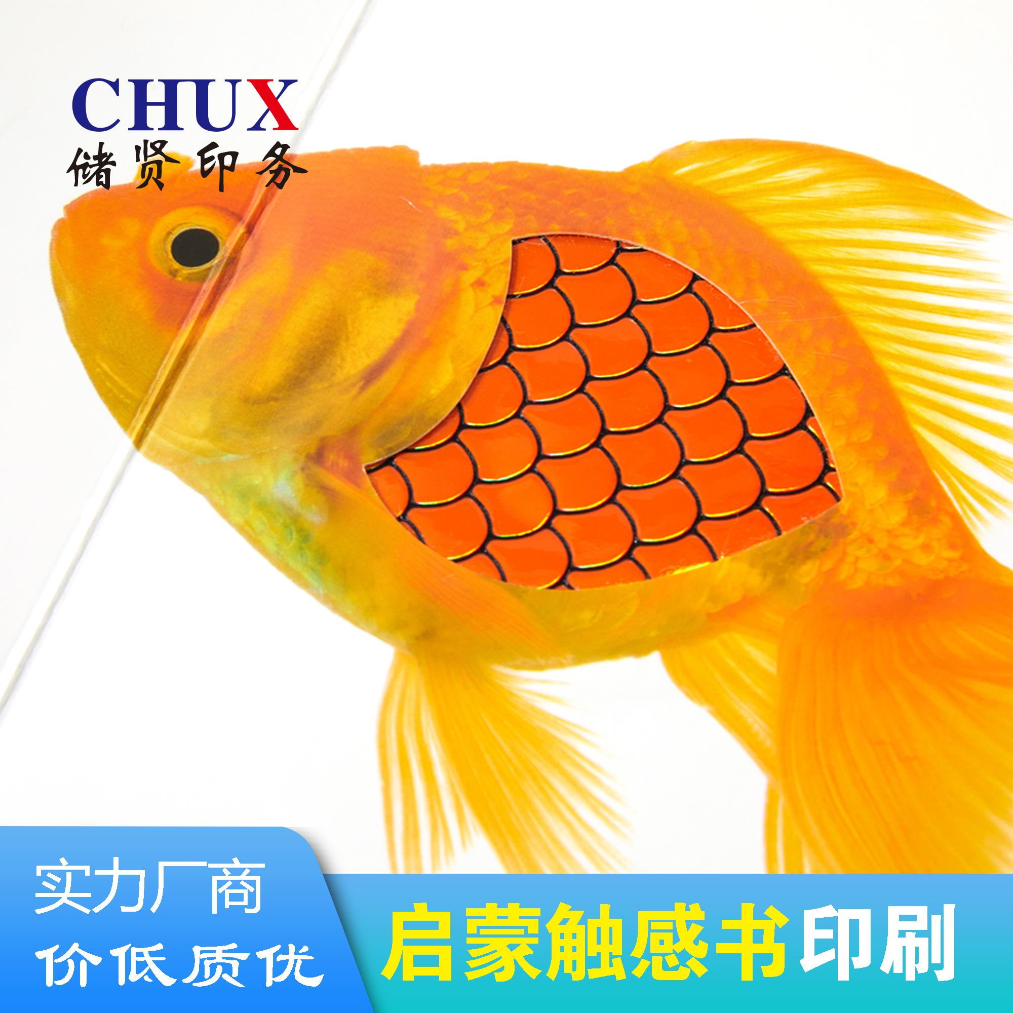 bwͯDRֳ̄ՈDs־Lӡˢ