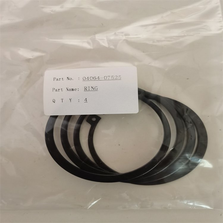 (yng)C(j)SD32C(j)͓Ȧ̖(ho)04064-07525