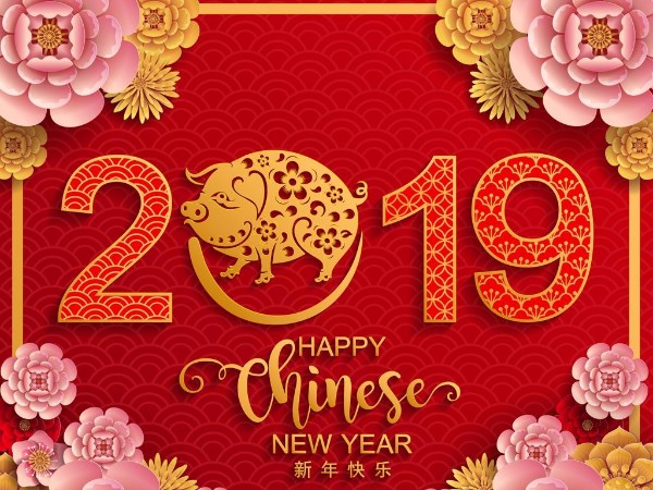 金豬送喜辭舊歲，雙志陪您慶新春！